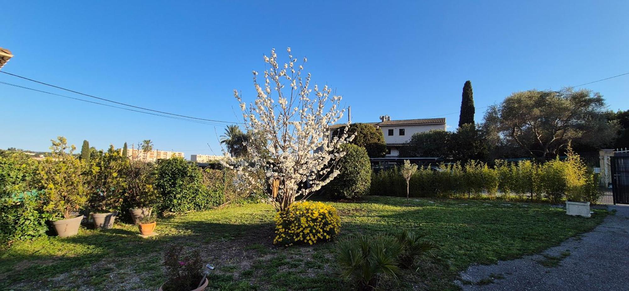 Studio Independant Avec Terrasse A Juan Les Pins Antibes Exterior photo